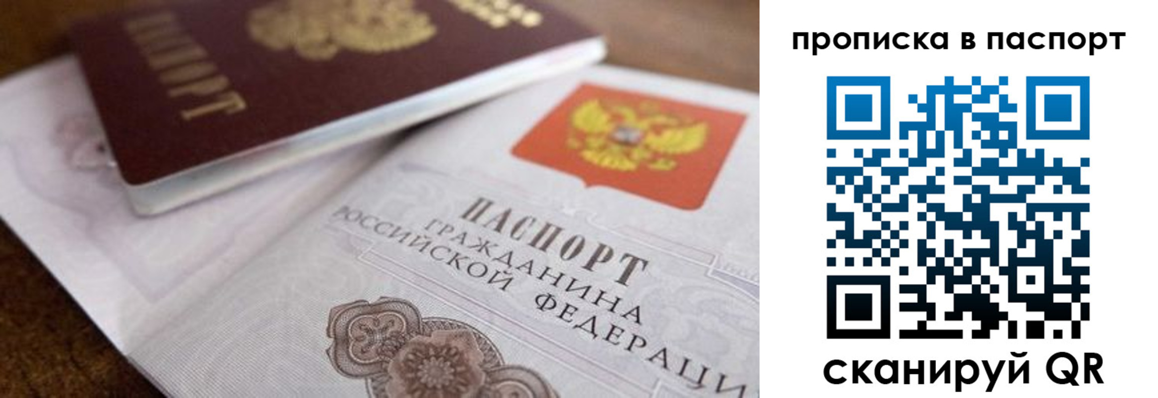где прописаться в Покрове
